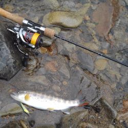 大増水の渓で苦戦